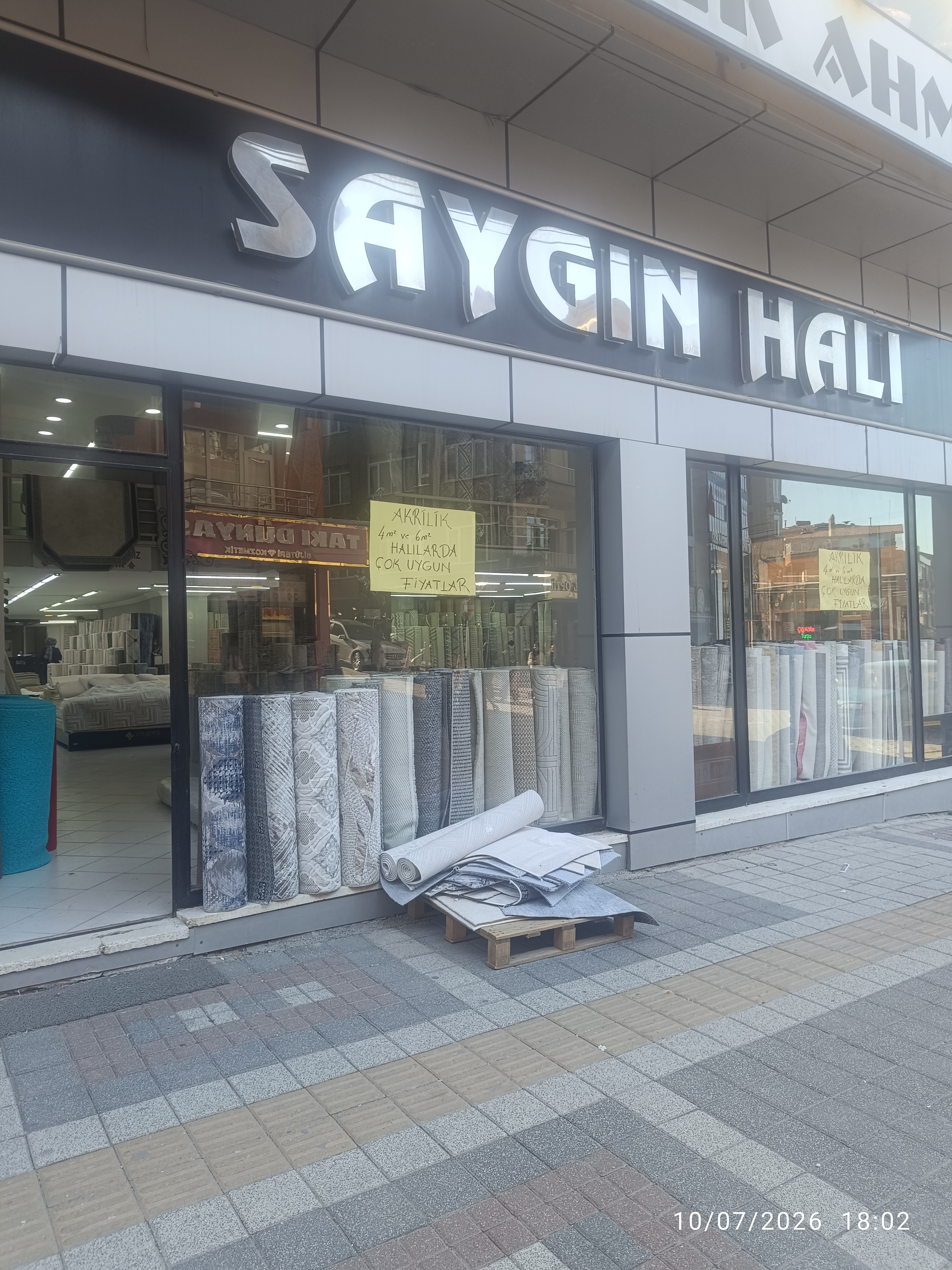 SAYGIN HALI